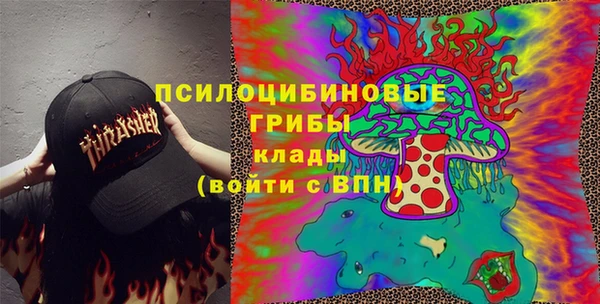 бошки Володарск