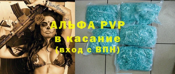 прущие грибы Тавда