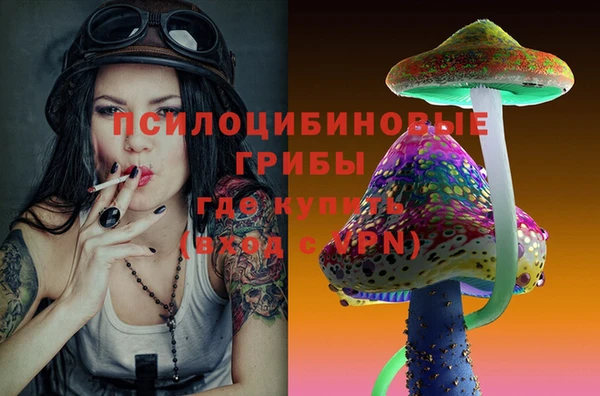 бошки Володарск