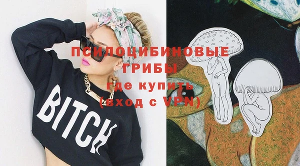 бошки Володарск