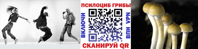 Галлюциногенные грибы мицелий  Воскресенск 